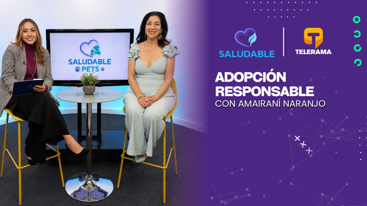 Adopción responsable