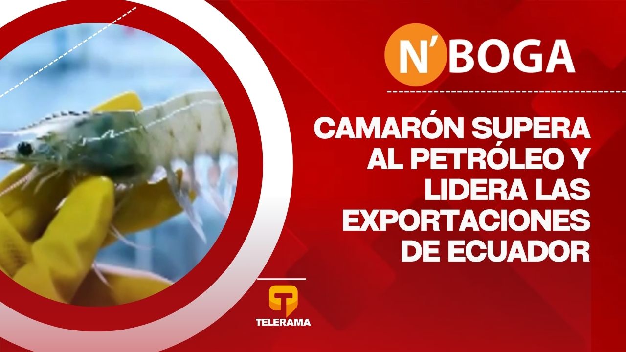 Camarón supera al petróleo y lidera las exportaciones de Ecuador