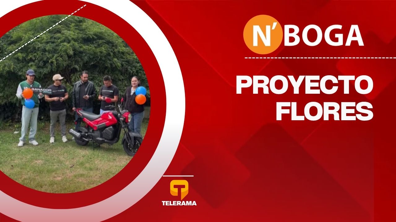 Proyecto flores