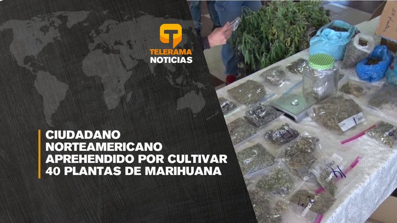 Ciudadano norteamericano aprehendido por cultivar 40 plantas de marihuana