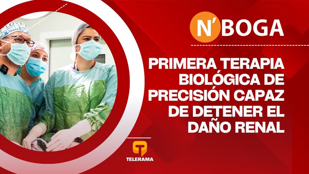 Primera terapia biológica de precisión capaz de detener el daño renal