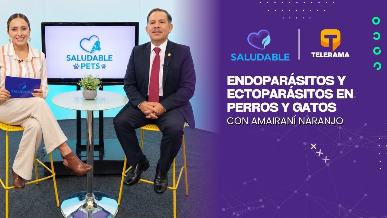Endoparásitos y ectoparásitos en perros y gatos