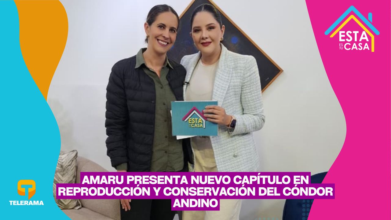 Amaru presenta nuevo capítulo en reproducción y conservación del cóndor andino