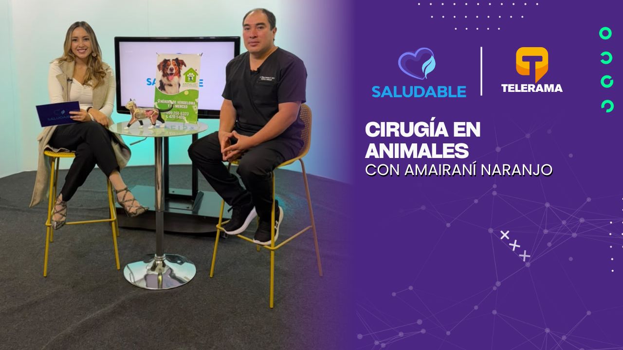 Cirugía en animales