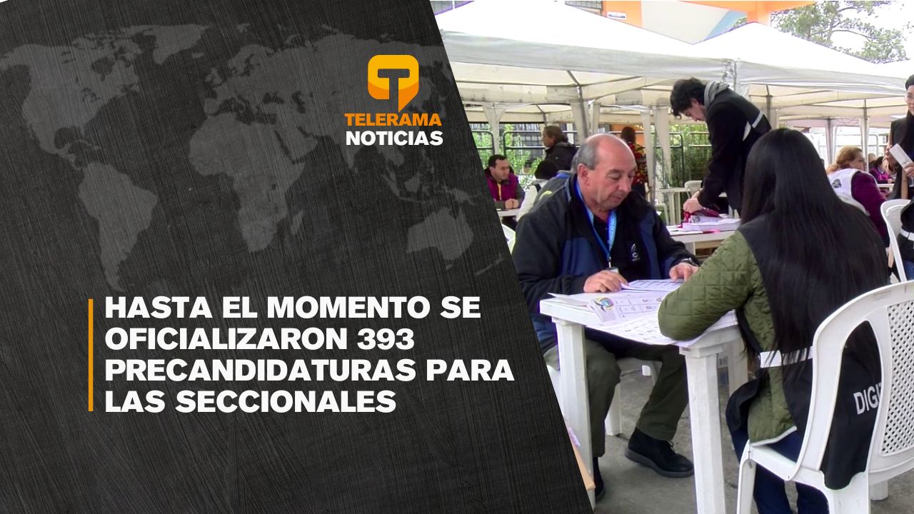 Hasta el momento se oficializaron 393 precandidaturas para las seccionales