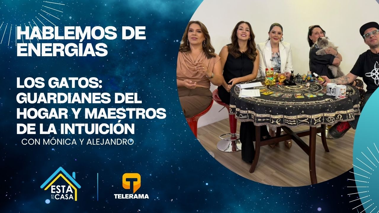 Los Gatos: guardianes del hogar y maestros de la intuición